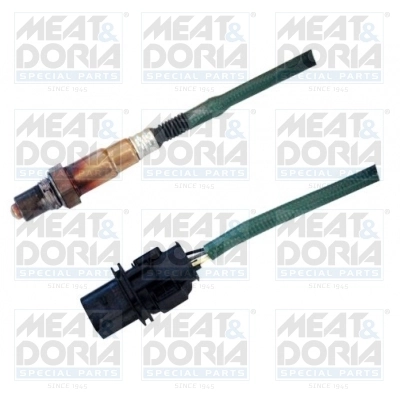 Oxygen Sensor